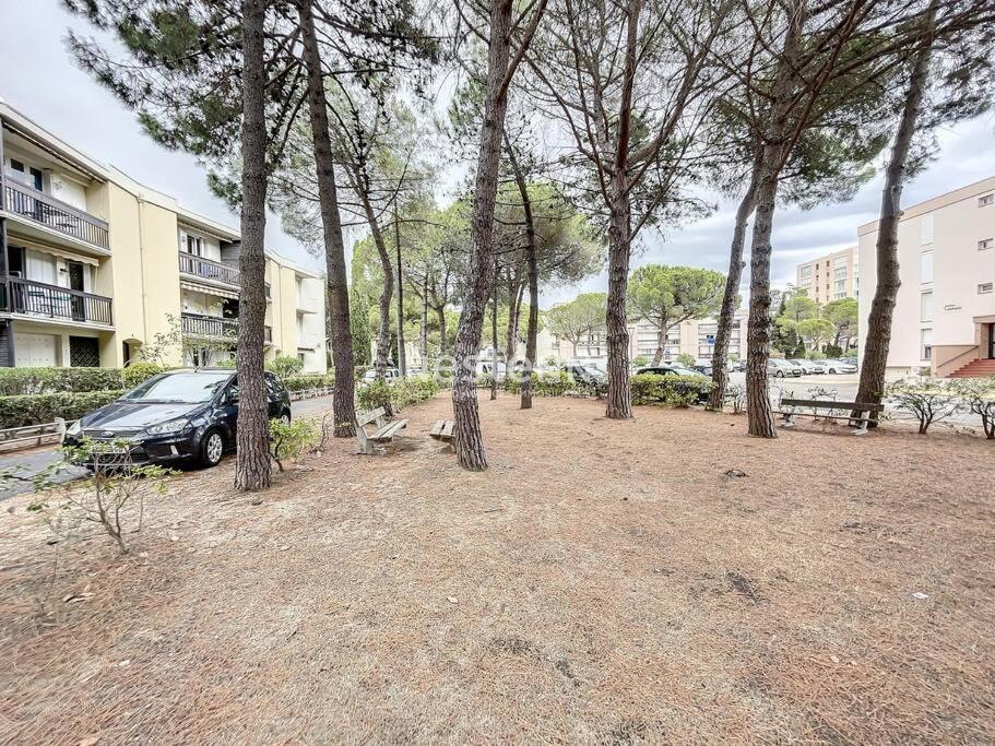 2980-Appartement 1 Ch A 100M De La Mer Argeles-sur-Mer Bagian luar foto